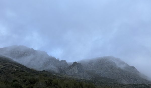 naturaleza ciclica
